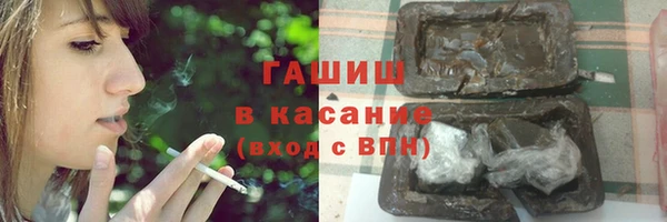 гашик Бежецк