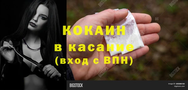 дживик Белая Холуница
