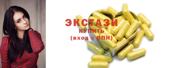 гашик Бежецк