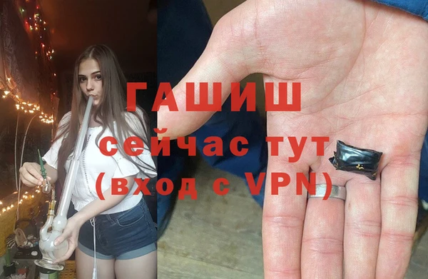 гашик Бежецк