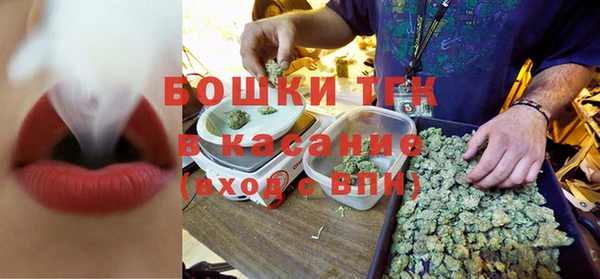 гашик Бежецк