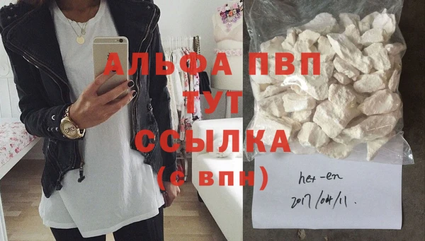 гашик Бежецк