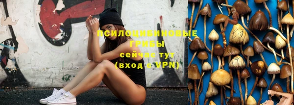 дживик Белая Холуница