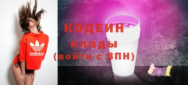дживик Белая Холуница